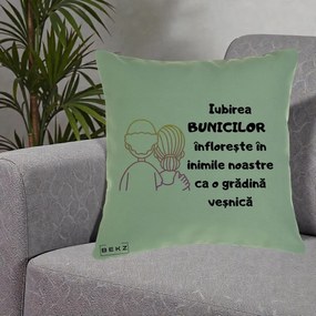 Cadou pentru Bunici - Perna Personalizata Iubirea Bunicilor Infloreste Cuplu Line Art Gradient, 40x40 cm, Verde, Husa Detasabila, Perna Inclusa, BEKZ®