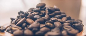 Tabloul cu cafea (120x50 cm)