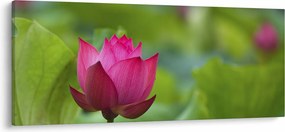 Tablou - floare de apă (120x50 cm)