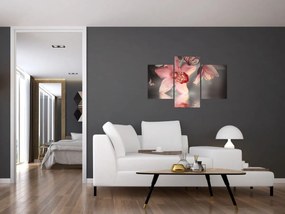 Tablou - Flori și fluture (90x60 cm)