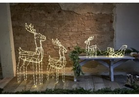 Decorațiune LED de Crăciun de exterior TUBY DEER 158xLED/0,06W/5/230V IP44 Eglo 411447