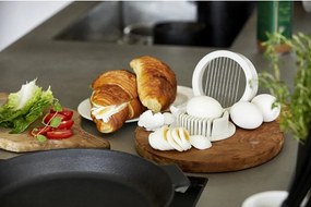 Feliator pentru ou gri Singles – Zone