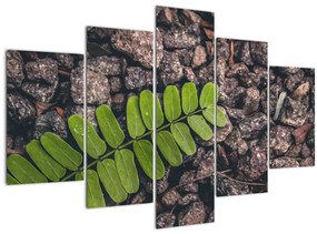 Tablou cu planta verde (150x105 cm)