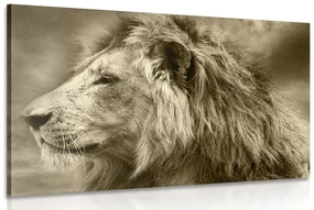 Tablou leu african în design sepia