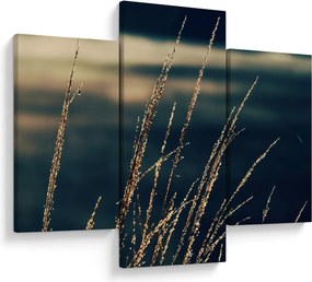 Tablou cu ierburi (90x60 cm)