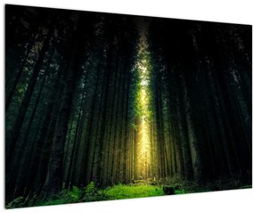 Tablou cu pădurea întunecată (90x60 cm)