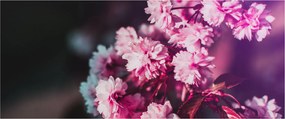 Tablou cu florile copacilor (120x50 cm)
