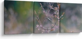 Tablou - Detaliu timp (cu ceas) (90x30 cm)