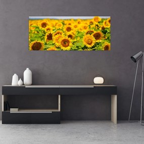 Tablou - Floarea-soarelui (120x50 cm)