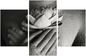 Tablou - Lotus în mâinile lui Buddha (90x60 cm)