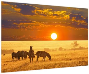 Tablou - Zebre cu apus de soare (90x60 cm)