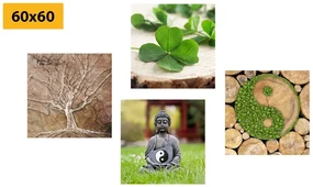 Set tablouri Feng Shui cu elementele naturii