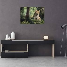 Tablou pe sticlă cu vulpe (70x50 cm)
