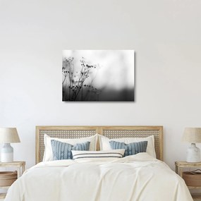 Tablou pe sticlă - Detailu florior de luncă (70x50 cm)