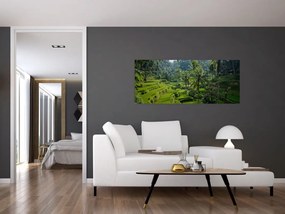 Tablou cu terasele cu orez Tegalalang, Bali (120x50 cm)