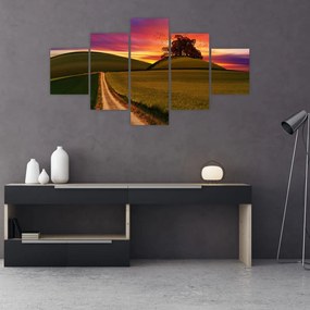 Tablou cu câmp și cerul colorat (125x70 cm), în 40 de alte dimensiuni noi