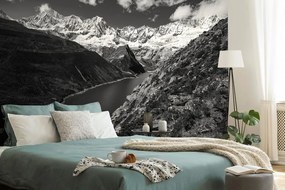 Fototapet autoadeziv parcul Patagonia din Argentina în alb-negru