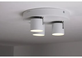Spot LED dimabil STAR 3xLED/4W/230V Philips 56243/31/16