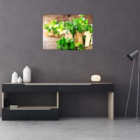 Tablou pe sticlă cu menta proaspătă (70x50 cm)