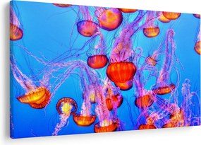 Tablou cu meduse în mare (90x60 cm)