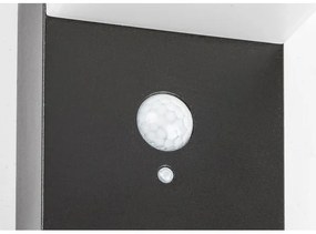 Rabalux 77009 - Lampă solară LED ZREBAR cu senzor LED/6W/3,7V IP44