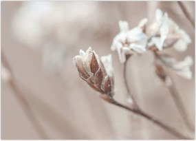 Tablou - Detaliu ramură (70x50 cm)