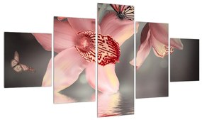 Tablou cu flori și fluture (125x70 cm), în 40 de alte dimensiuni noi