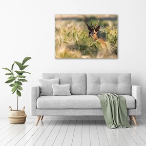 Print pe pânză Deer în domeniu