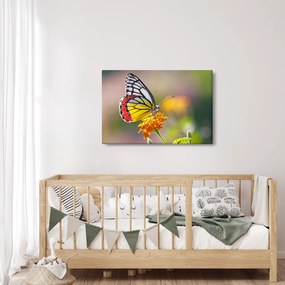 Tablou - Fluture pe floare (90x60 cm)