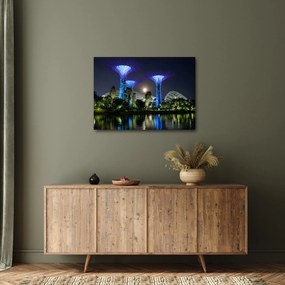 Tablou cu lună plină în grădinile din Singapur (70x50 cm)