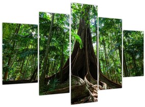 Tablou - Rădăcinile copacului (150x105 cm)