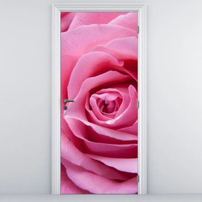 Fototapet pentru ușă - Trandafir (95x205cm)