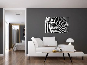 Tablou cu zebră (90x60 cm)