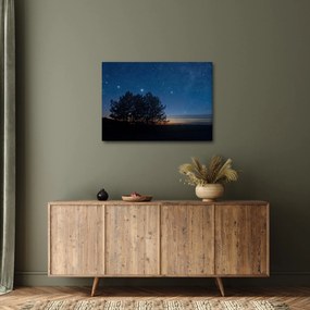 Tablou cu copaci noapte (70x50 cm)