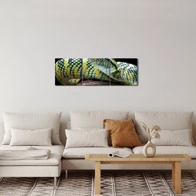 Tablou - Șarpele cu clopoței al lui Wagler (cu ceas) (90x30 cm)