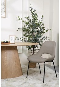 Scaun sufragerie Signale  (gri bej). 1099150
