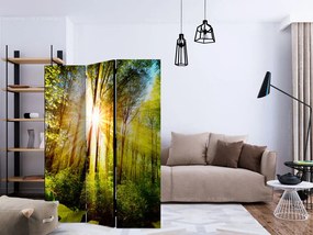 Paravan - Forest Hideout [Room Dividers]