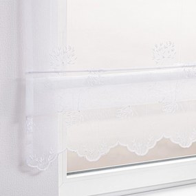 Stor roman voal Modena