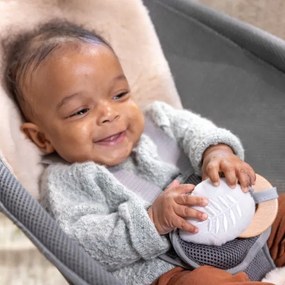 Ingenuity Wesley 3xC - Leagăn vibr. cu melodie Every Season, gri