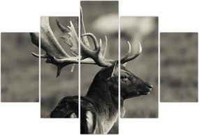 Tablou - Cerb (150x105 cm)