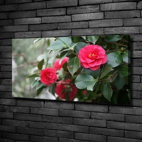 Pictură pe pânză Camelia