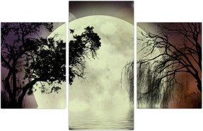 Tablou - Lună plină deasupra apei (90x60 cm)