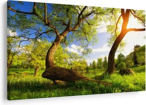 Tablou lunca ne primăvară (90x60 cm)