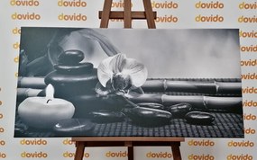 Tablou natura moartă Feng Shui în design alb-negru