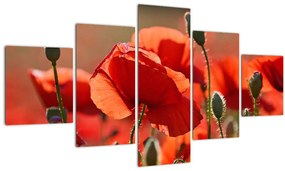 Tablou cu flori de maci (125x70 cm), în 40 de alte dimensiuni noi