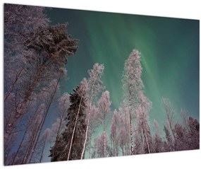Tablou cu aurora borealis deasupra pomilor înghețați (90x60 cm)