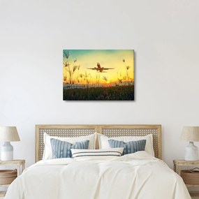 Tablou cu avionul ridicându-se spre zbor (70x50 cm)