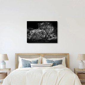 Tablou - Gheparzi care se odihnesc (70x50 cm)