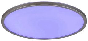 Rabalux 2290 - Plafonieră LED RGB dimabilă RASMUS LED/22W/230V + telecomandă