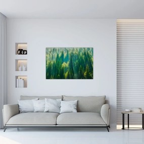 Tablou - Pădurea de brazi (90x60 cm)